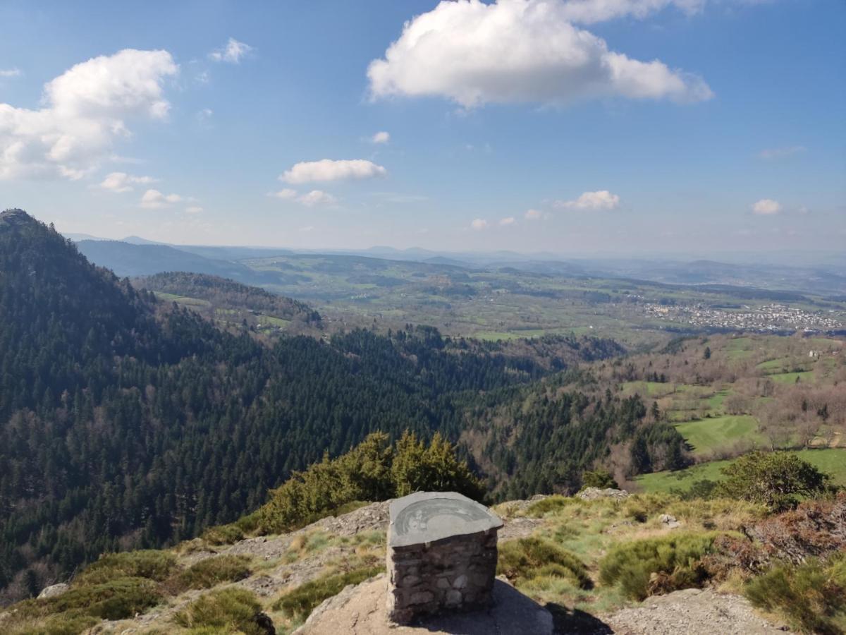 Saint-Pierre-Eynac La Chabanade B&B 외부 사진